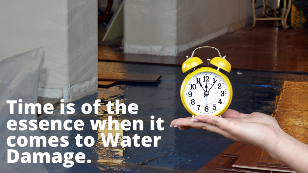Water Damage Timelines and What It Means For Your Home or Business